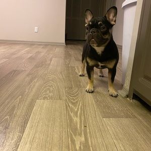 Meet your Posher, Mikey